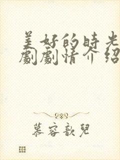 美好的时光电视剧剧情介绍封面