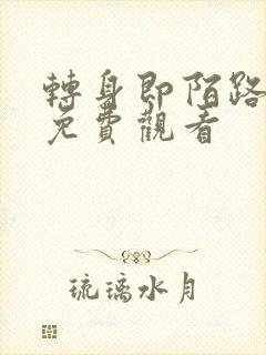 转身即陌路短剧免费观看