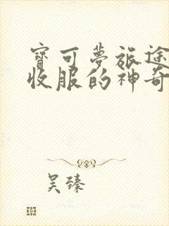 宝可梦旅途小智收服的神奇宝贝