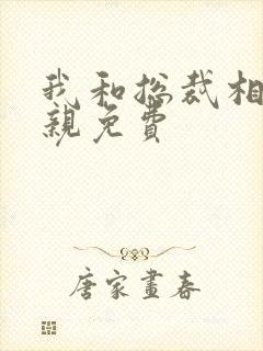 我和总裁相了个亲免费