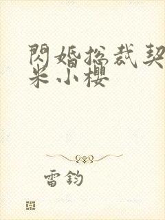 闪婚总裁契约妻米小樱