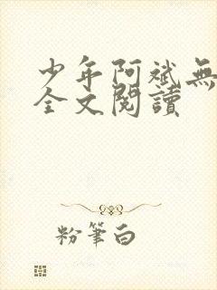 少年阿斌无删减全文阅读封面