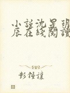 小说沈星玥裴亦辰在线阅读