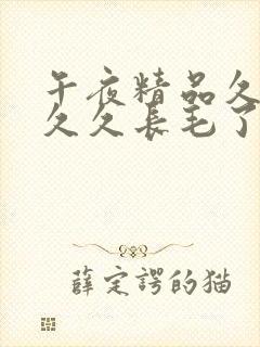 午夜精品久久久久久长毛了封面