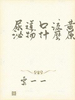 尿道口流黄色分泌物什么原因