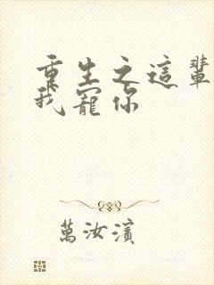 重生之这辈子换我宠你