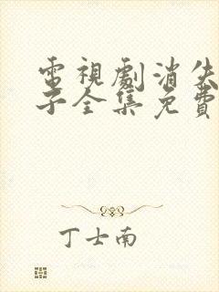 电视剧消失的孩子全集免费观看