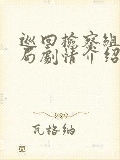 巡回检察组大结局剧情介绍封面