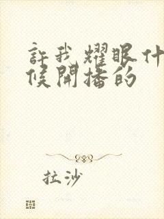 许我耀眼什么时候开播的