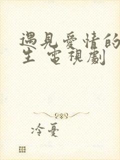 遇见爱情的利先生 电视剧