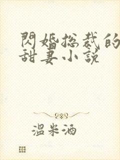 闪婚总裁的契约甜妻小说