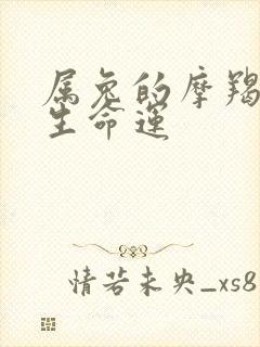 属兔的摩羯女一生命运