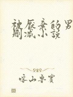 被厌弃的男妻无删减小说封面