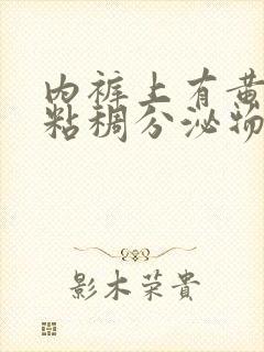 内裤上有黄色的粘稠分泌物