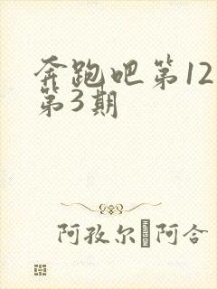 奔跑吧第12季第3期