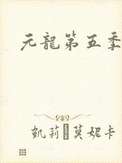 元龙第五季