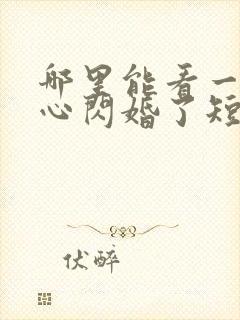 哪里能看一不小心闪婚了短剧