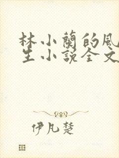 林小兰的风流人生小说全文免费阅读