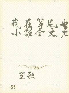 我在等风也等你小说全文免费阅读封面