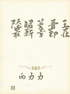 陆昭菱晋王小说最新章节在线阅读封面