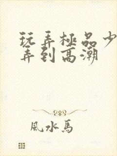 玩弄极品少妇被弄到高潮