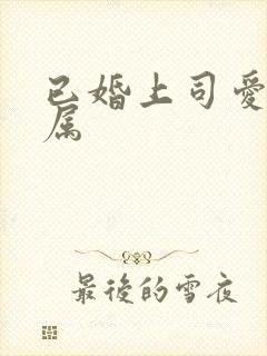 已婚上司爱上下属封面