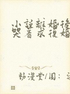 小说离婚后前夫哭着求复婚阅读