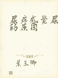 尿疼感觉尿不尽的原因封面