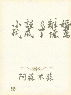 小说《离婚后,我成了亿万富翁》