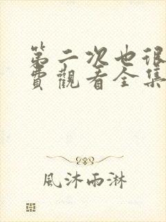 第二次也很美免费观看全集