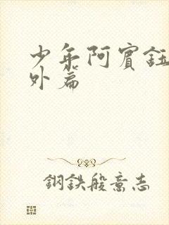 少年阿宾钰慧番外篇封面