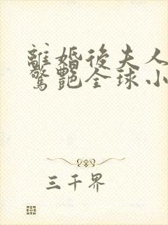 离婚后夫人携崽惊艳全球小说阅读全部封面