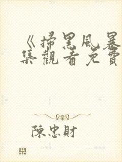 《扫黑风暴》全集观看免费高清封面