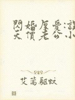 闪婚厚爱:误嫁天价老公小说