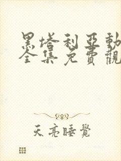 黑塔利亚动漫动全集免费观看封面