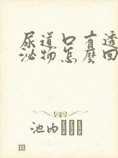 尿道口有透明分泌物怎么回事