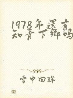 1978年还有知青下乡吗封面