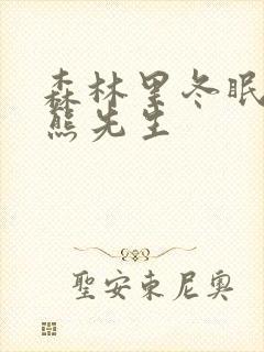 森林里冬眠中的熊先生