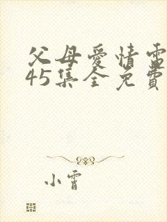 父母爱情电视剧45集全免费