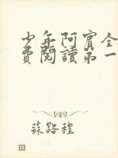 少年阿宾全文免费阅读第一章