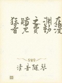 狂赌之渊在线观看免费动漫