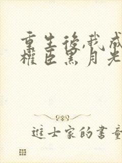 重生后,我成了权臣黑月光