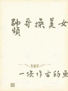 帅哥操美女,视频