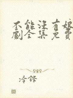 不能没有娘电视剧全集免费观看封面