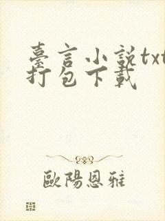 台言小说txt打包下载