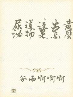 尿道流出黄色分泌物是怎么回事封面