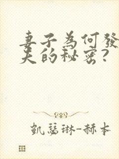 妻子为何发现丈夫的秘密?封面