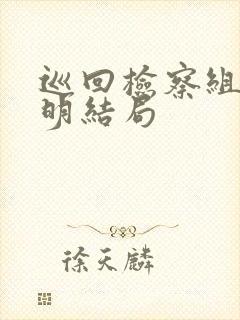 巡回检察组宋志明结局