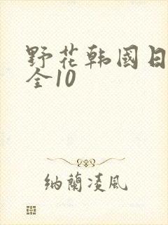 野花韩国日本大全10