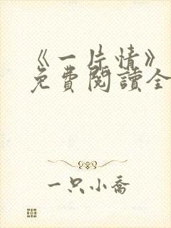 《一片情》小说免费阅读全文